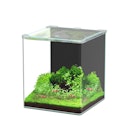 Vorschaubild Aquatlantis Kubus Curve 30L LED - Basic