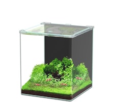 Aquatlantis Kubus Curve 30L LED - Basic