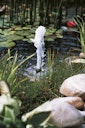 Vorschaubild Ubbink Xtra 2300 Springbrunnenpumpe