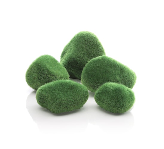 biOrb Kieselstein Set Moosbewachsen (46084)