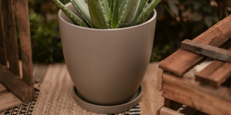 Plant Pot Pamu, grün