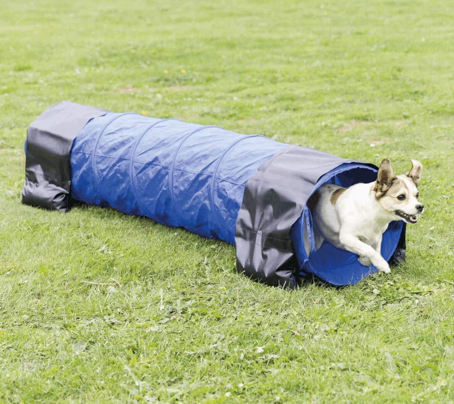 TRIXIE Fun Agility Mini Tunnel, ø 40 cm/2 m, blau