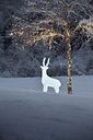 Vorschaubild Konstsmide LED Acryl Rentier weiblich 160 kaltweiße Dioden