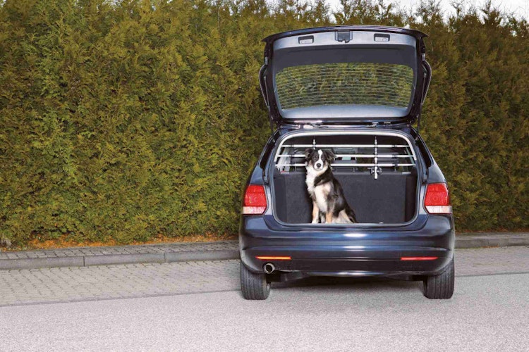 TRIXIE Auto-Schutzgitter Silber/Schwarz