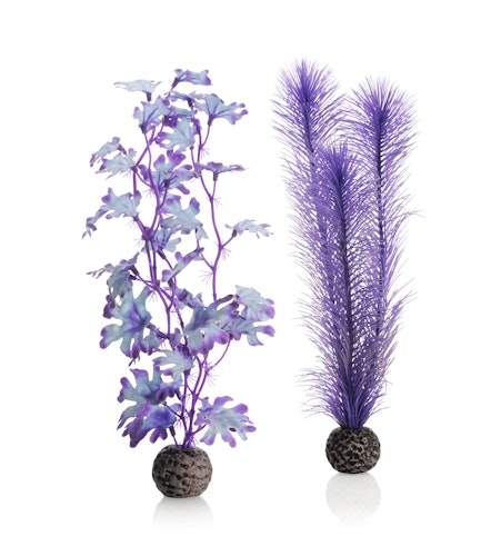 biOrb Seetang Set mittelgroß lila (46080)