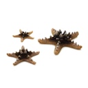 Vorschaubild biOrb Seestern Set 3 natural