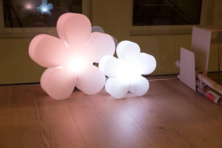 8 seasons design LED-Dekoleuchte Shining Flower (RGB), verschiedene Größen
