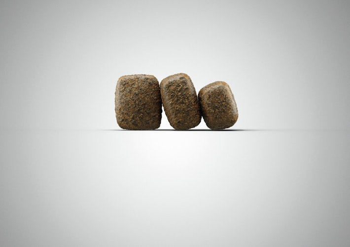 Josera GastroIntestinal Hundespezialfutter