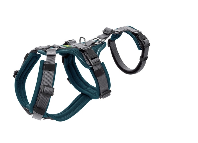 Hunter Geschirr Sicherheit Maldon petrol Hundegeschirr