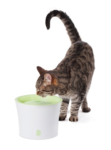 catit Fresh & Clear Trinkbrunnen 3 Liter