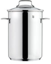 WMF Spargeltopf Ø 16 cm mit Drahteinsatz