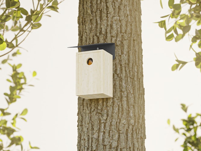 Alberts® Schrägschutzdach für Futterhäuser