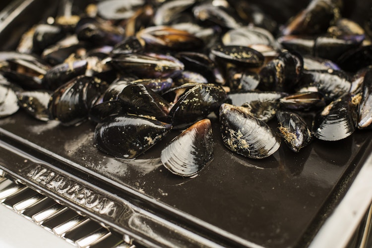 NAPOLEON Gusseiserne Grillplatte Plancha (56090)