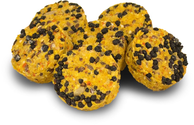 JR FARM Nager Vollkorn Cookies 80g Kleintiersnack