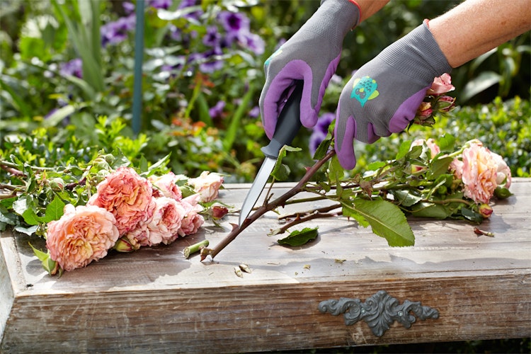 kwb Outdoormesser mit Köcher 21700