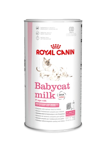 ROYAL CANIN FHN BABYCAT MILK 300g Spezialfutter für Katzen