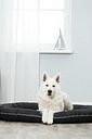 Vorschaubild TRIXIE Kissen Samoa Vital, oval, 110 × 85 cm, schwarz