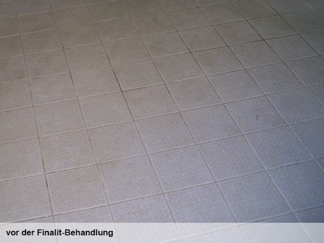 Finalit Nr. 1 Intensiv-Reiniger (basisch)