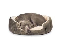 Nobby Komfortbett CENO 86 x 70 x 24cm