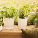 Vorschaubild Plant Pot Pamu, creme