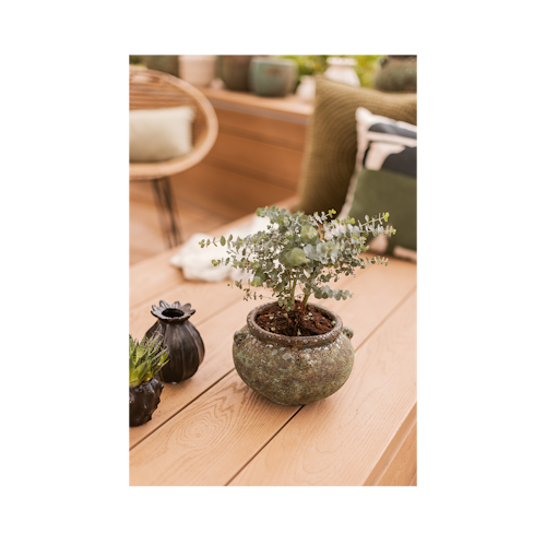 Vosteen Design Blumentopf / Pflanzgefäß Terrakotta grün ø 23 cm x H 16 cm