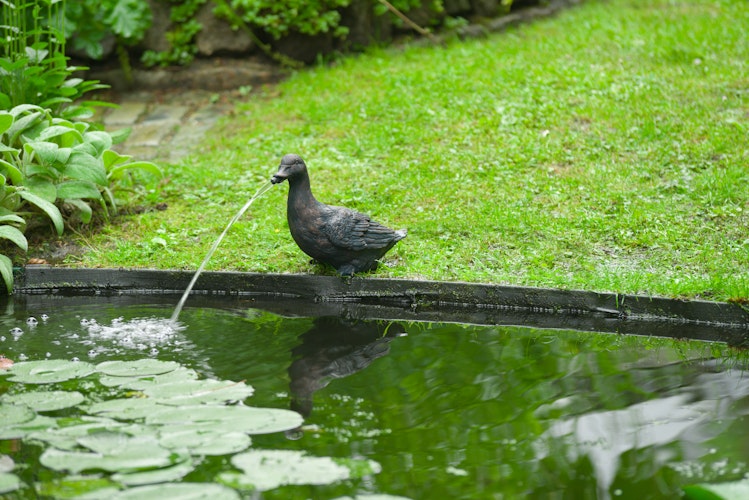Ubbink Wasserspeier Ente
