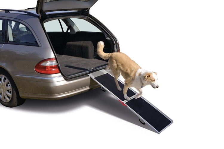 NOBBY Alu Hunderampe L x B x H: 152 x 36 x 3,5 cm