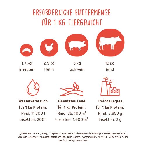 Bosch HPC INSECT Adult Tapioka mit Äpfel 2,5kg