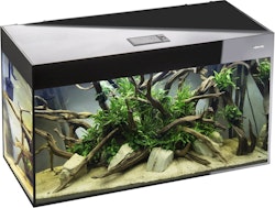 Aquael GLOSSY CUBE 50 ST Set D&N schwarz Aquarium