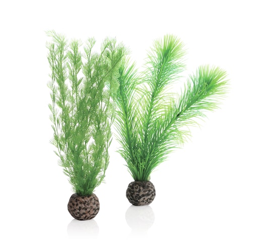 biOrb Federfarn Set klein grün (46083)