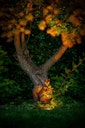 Vorschaubild Garden Lights Bodeneinbauleuchte Rubum SMART (Zigbee)