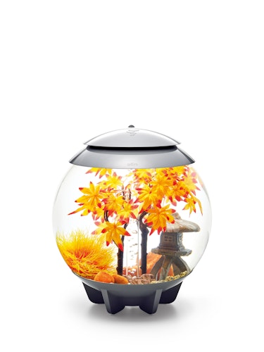 biOrb Decor Set 30L Herbst (55027)