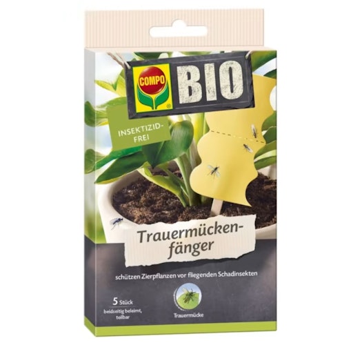 Compo Bio Trauermückenfänger 5 Stück