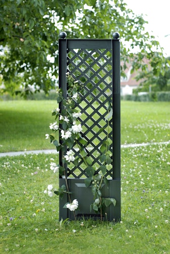 KHW Spalier 43 cm mit Erdspieß