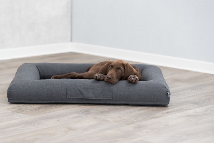 TRIXIE Vital Bett Pulito, eckig