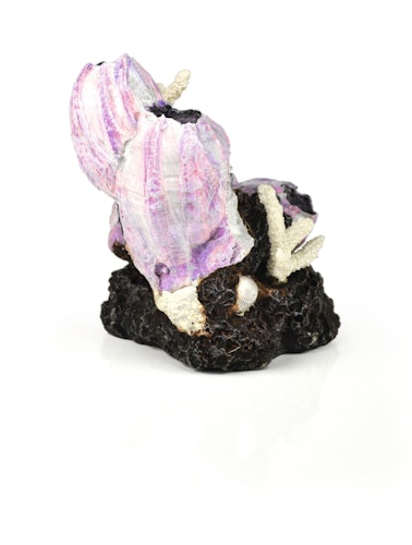 biOrb Seepflanzen Ornament klein pink (46145)