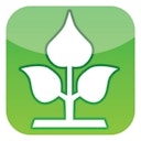 Vorschaubild NOOR Jutesäcke Natur im SB-Pack