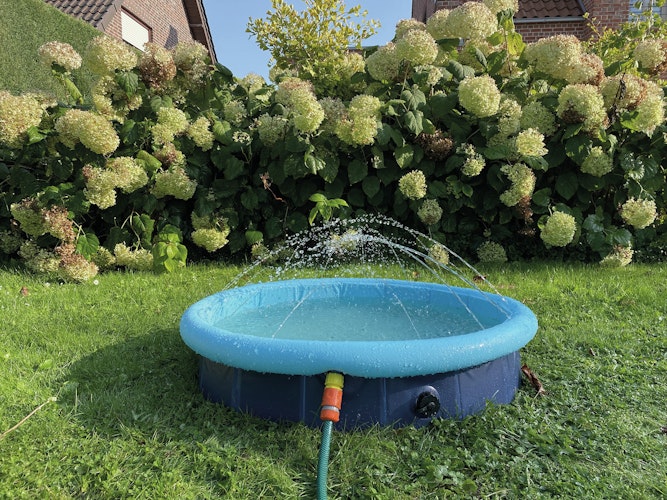 Nobby 2in1 Splash-Pool blau Abkühlung