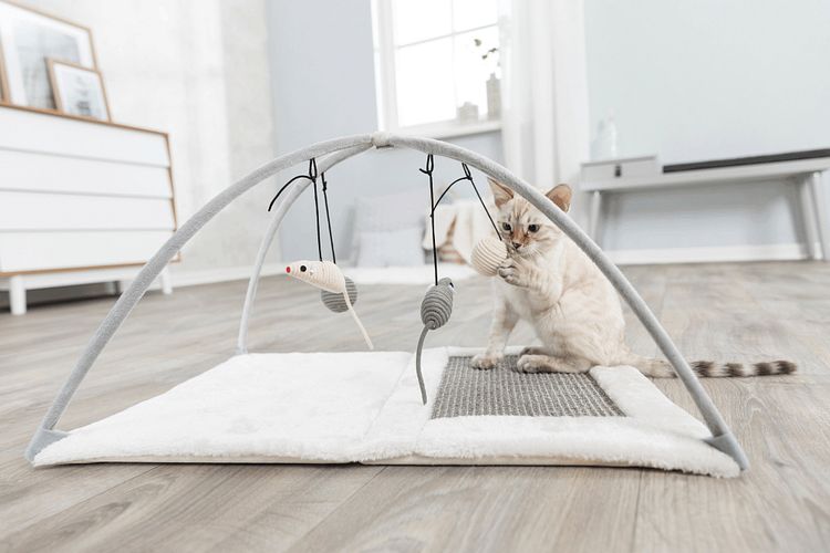TRIXIE Kratzmatte mit Spielbogen, 60 × 33 × 42 cm, grau/lichtgrau
