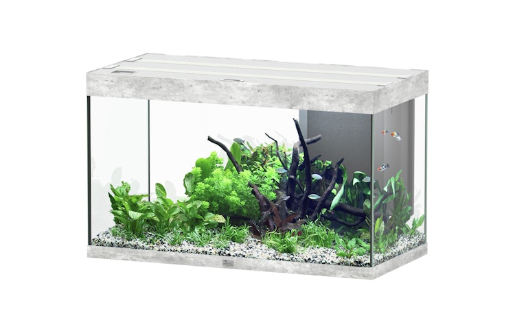 Aquatlantis Sublime 245 Steinoptik Aquarium-Set