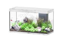 Aquatlantis Sublime 335 Esche Weiß Aquarium-Set