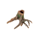 Vorschaubild aquatlantis Wurzel