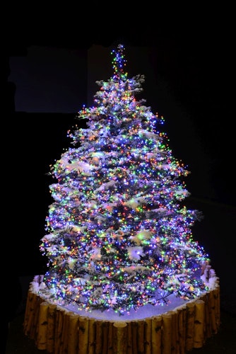 Konstsmide Weihnachtsbeleuchtung  Micro LED Büschellichterkette 768 bunte Dioden