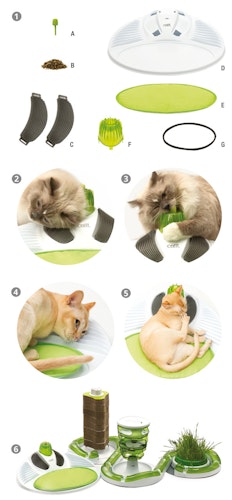 catit Senses 2.0 Wellness Center Katzenspielzeug