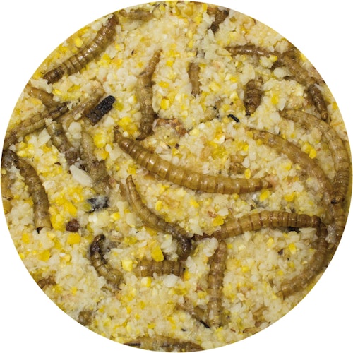 JR FARM Peanut Pot Erdnussbutter 400g Wildvogelfutter zum Nachfüllen