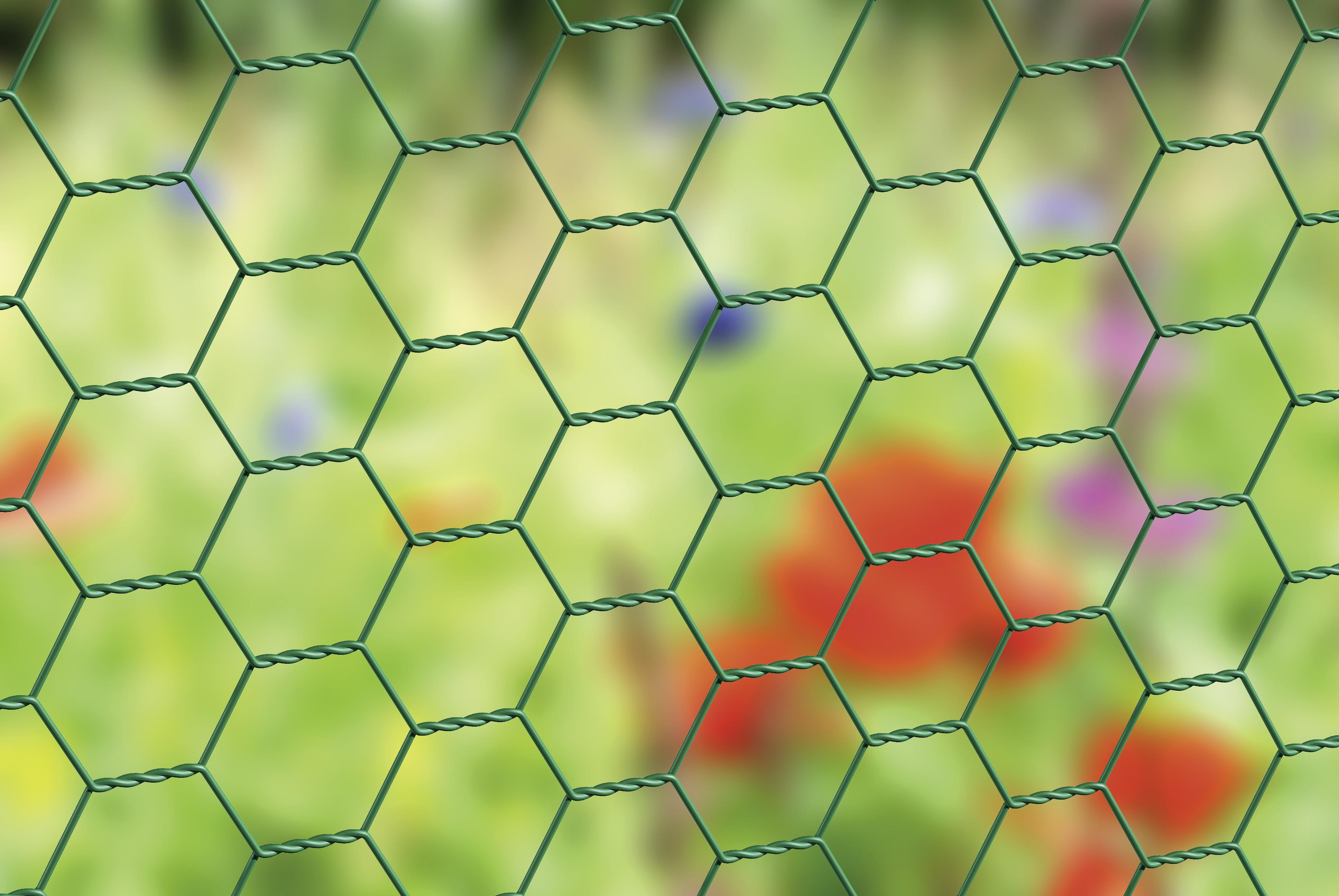 Alberts® Sechseckgeflecht 500mm 10m 25x25 mm Fvz