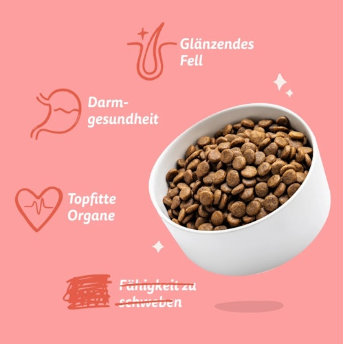 Edgard&Cooper Senior Freilauf-Huhn und Lachs Hundetrockenfutter