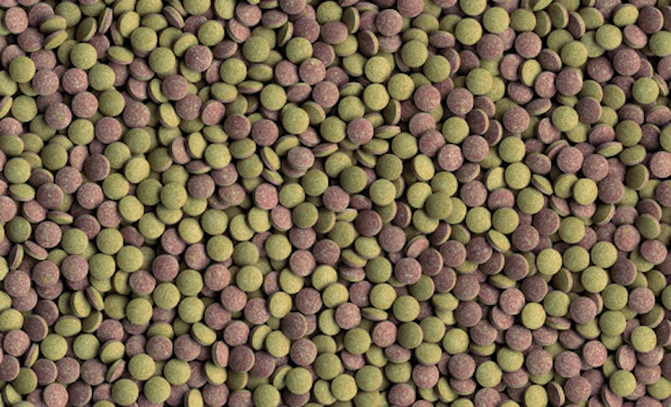 Tetra Tablets TabiMin 2050 Tabletten