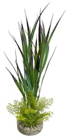 Sydeco Amazon Grass 26 Zentimeter Aquariendekoration