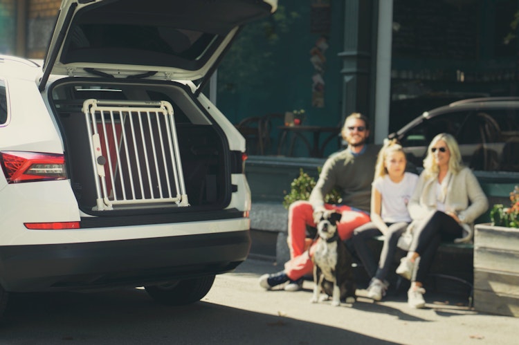 4pets Hundetransportbox ECO 3